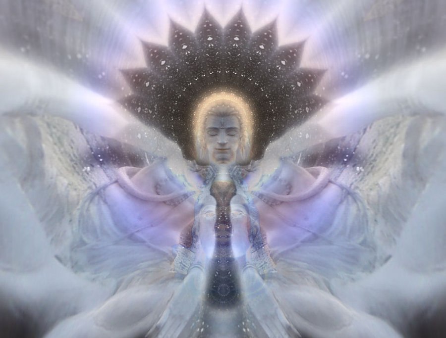 ������ ���������