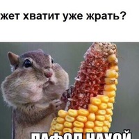 Елена Леоненко | 