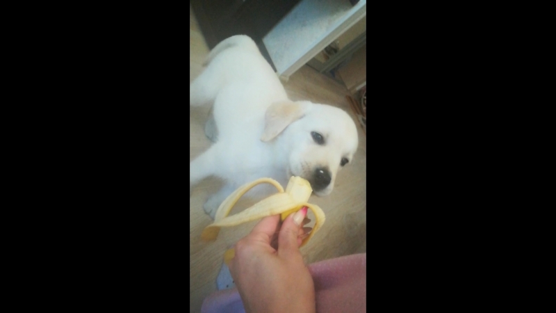 VID_20180804_180328.mp4