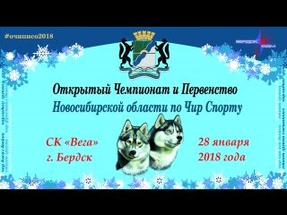 Промо 28.01.2018 г.Бердск ОЧИП НСО + оCHEERованные зимой - перезагрузка