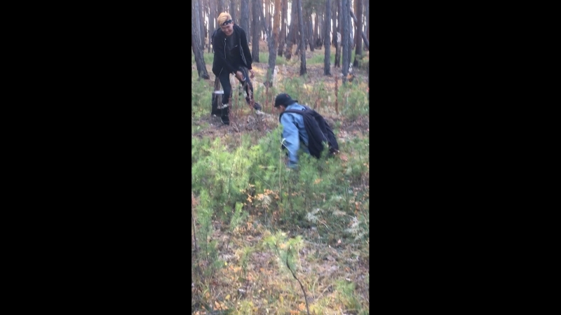 очоа
