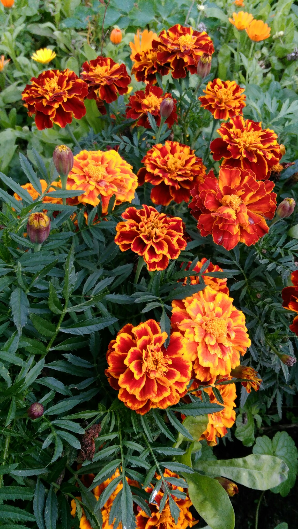 фотография из вКонтакте