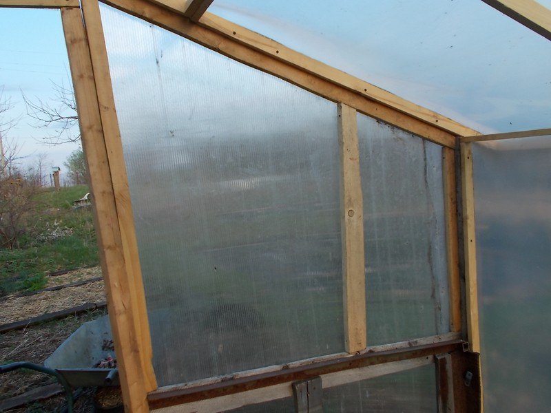Новая старая теплица Новая старая теплица