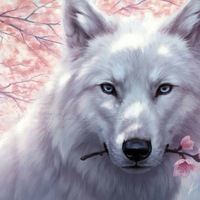 Лилия Бикбулатова |