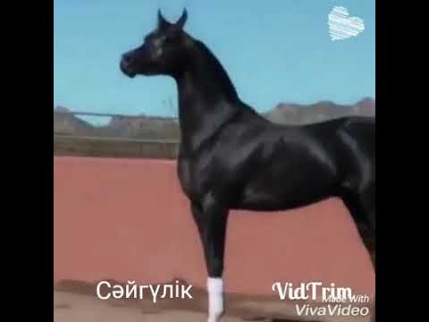 Байге атты