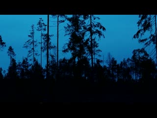 С охотой по жизни. Охота на глухаря на току.