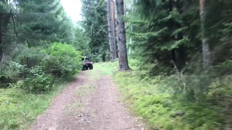 Нарочь 2018 квадрики
