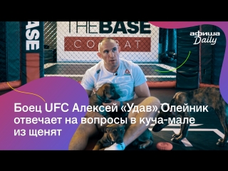 Боец UFC отвечает на вопросы «Афиши Daily» в куча-мале из щенят