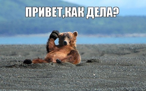 В Австралии - День королевы.