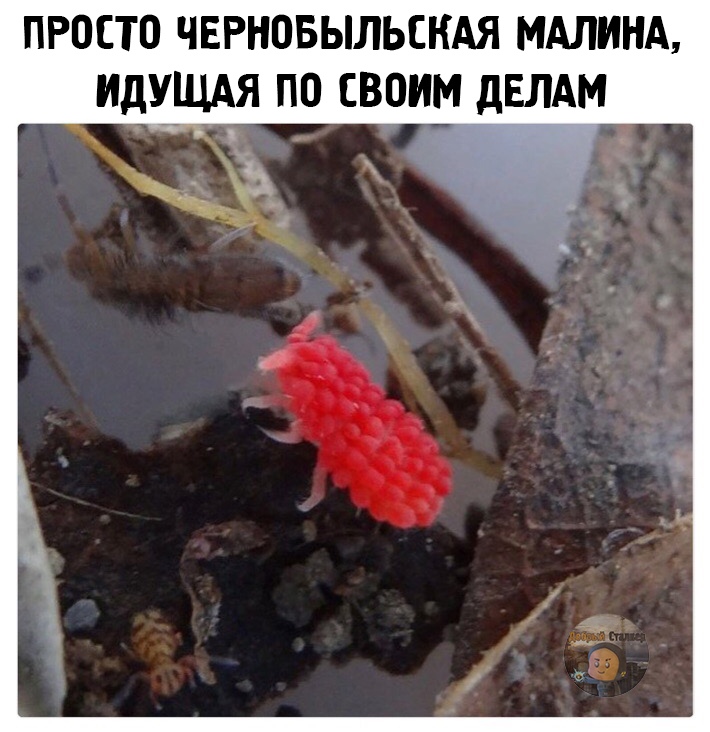 1aETU5_-ZUc.jpg