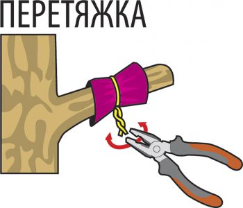 Плодовый пояс Есть такие деревья, которые долго не плодоносят без видимых причин. Чтобы исправить это, надо сделать плодовый пояс.Выглядит он просто: полоска мягкой жести с надрезами по бокам.