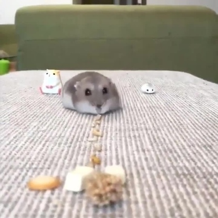 Pacman