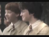 Drarry | Harry Potter vine