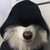 Фото пользователя Vlad
