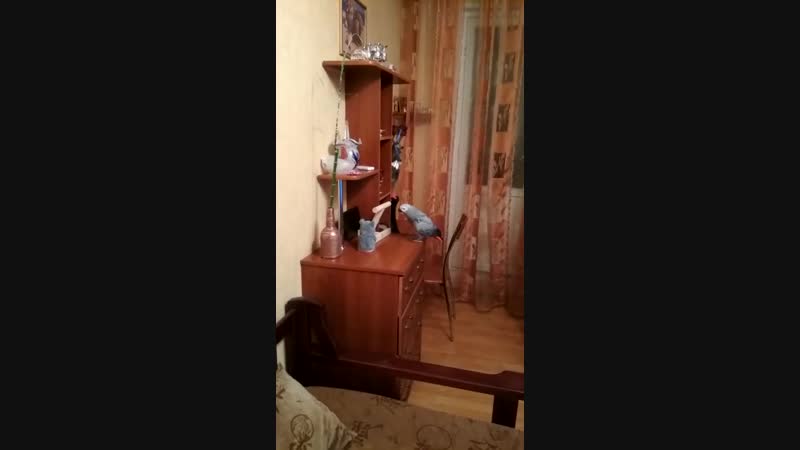 Косолапый птиц