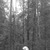 Фото пользователя Юрий