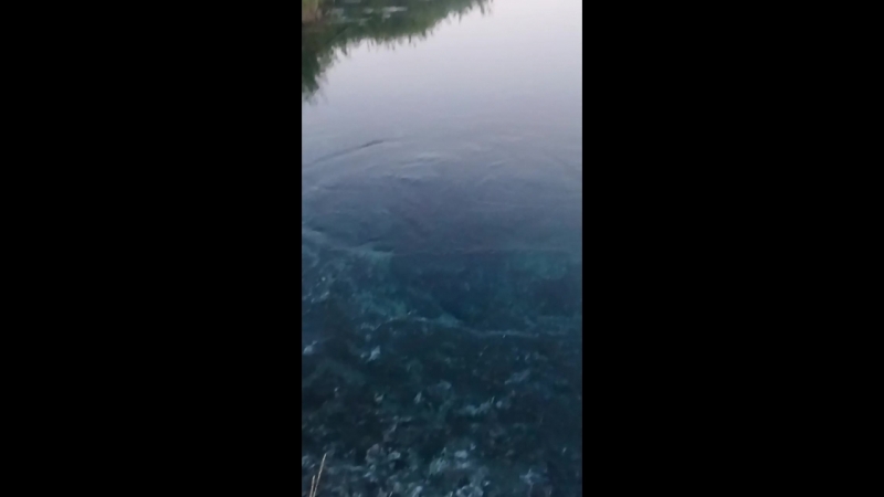 VID_20180812_190504.3gp