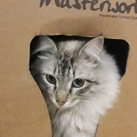 Арсенька Теплых