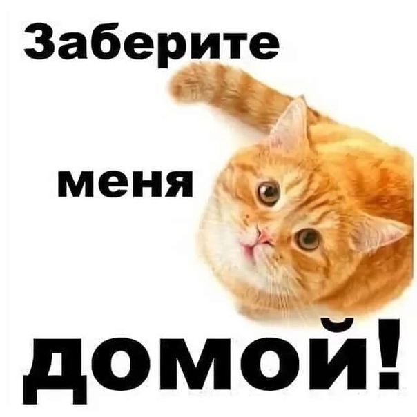 Картинки с надписью хочу домой