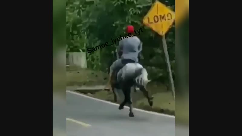 Samoe_lychee_tyt