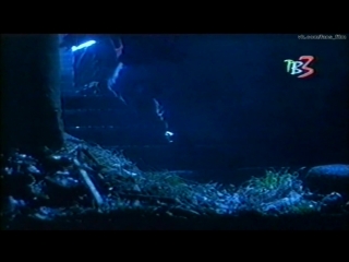 Семейная история / The Divine Ryans (1999)