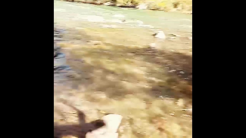 VID_129100505_062029_470.mp4