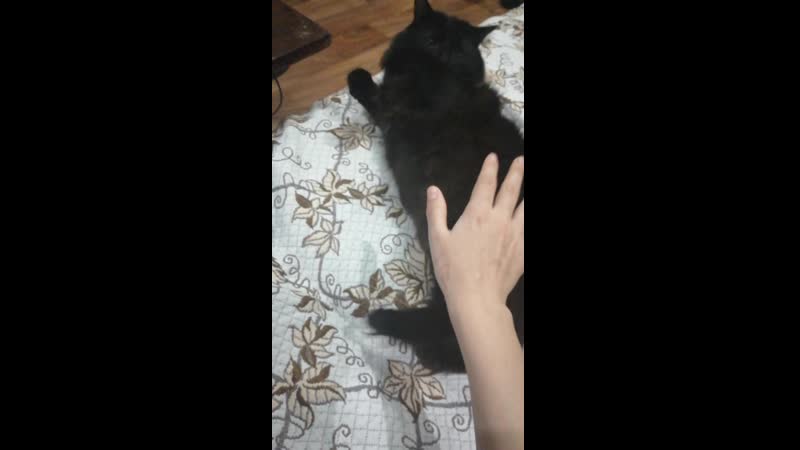 Попчанский