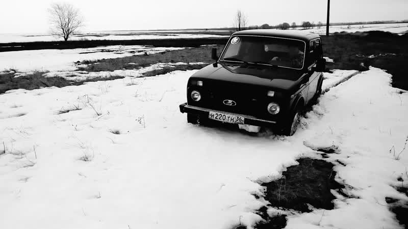 Niva