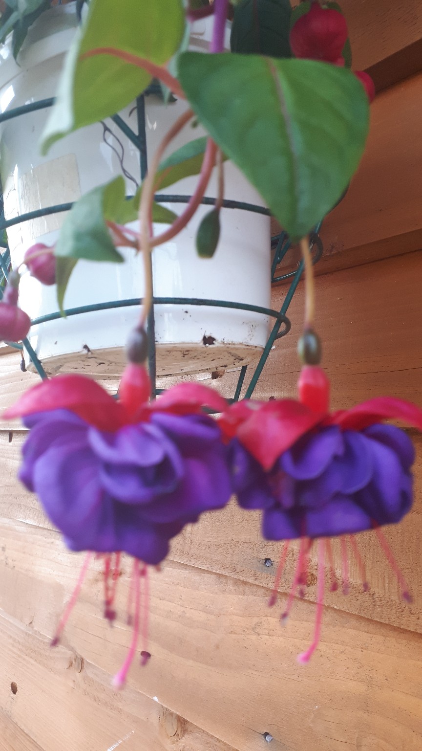 фотография из вКонтакте