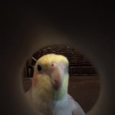 My name is Bond, James Bond