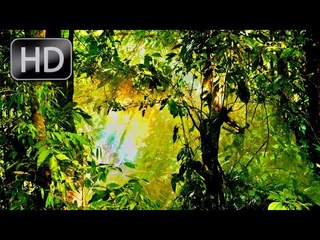 Gentle Piano Music for the Soul And Stress Relief - 10 Minutes of Relaxation