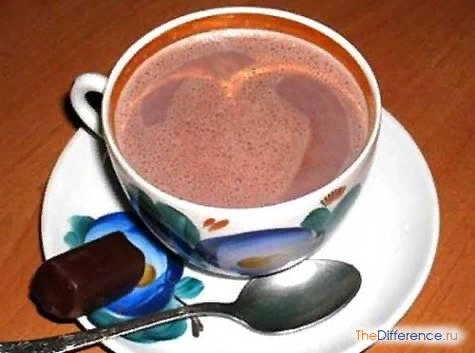 Разница между шоколадом и какао Шоколад это не только всем известная сладость, но и чудесный напиток, которым многие не отказались бы насладиться. И если речь идет именно о напитке, то невольно