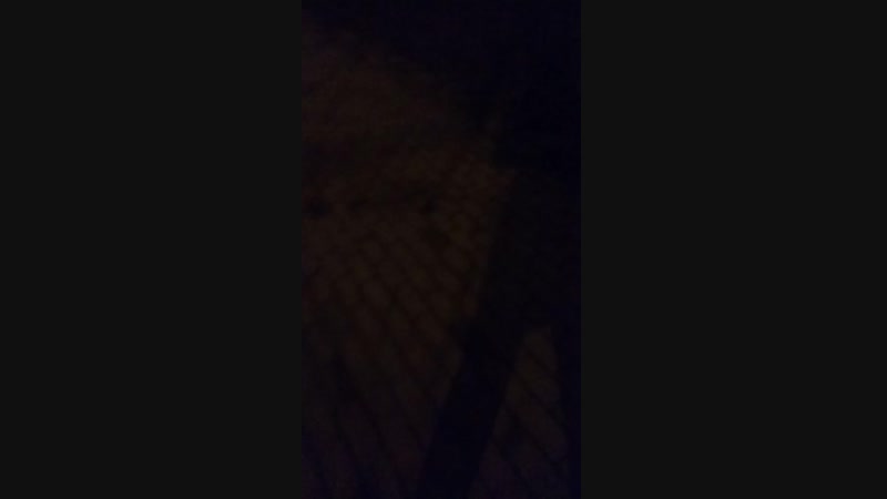 дембельский наряд по патрулю