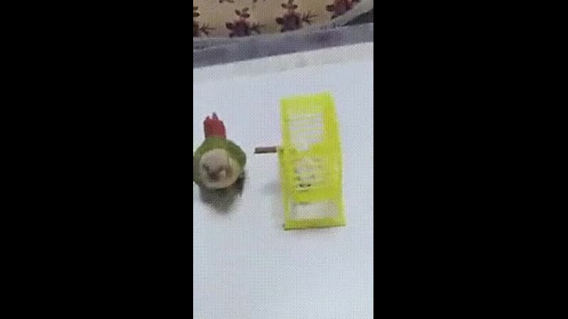 Doc69713978_498637468.mp4