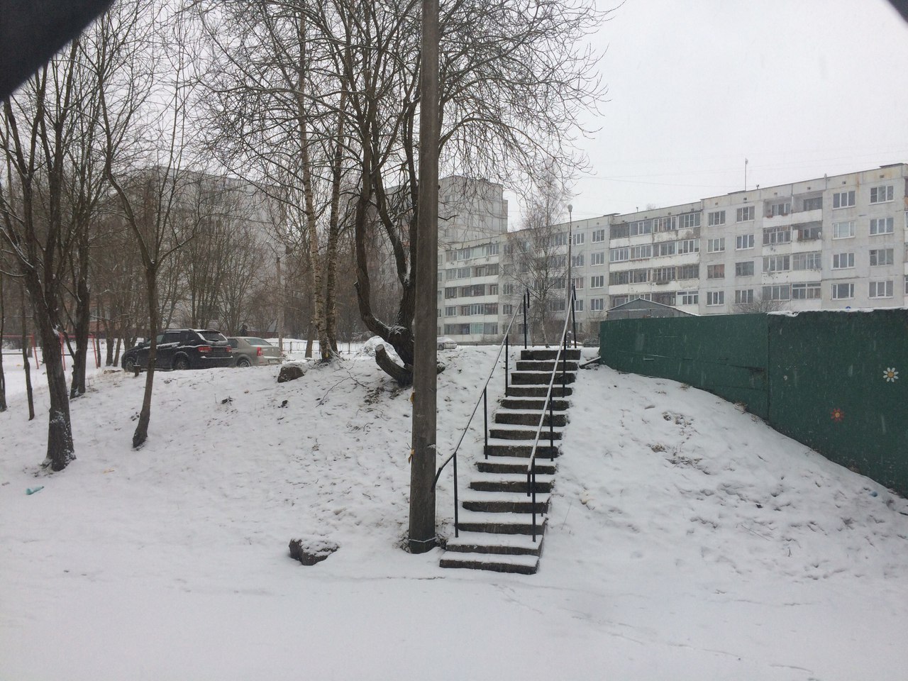 Новая рабочая неделя в Ленобласти началась со снегопада