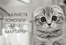 Объявление от Nadezhda - фото №1