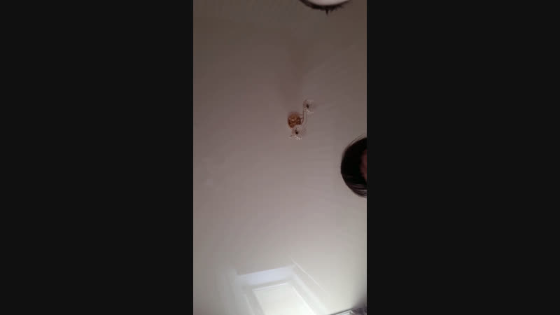 😂 оңбай кетейн әртіс бұл