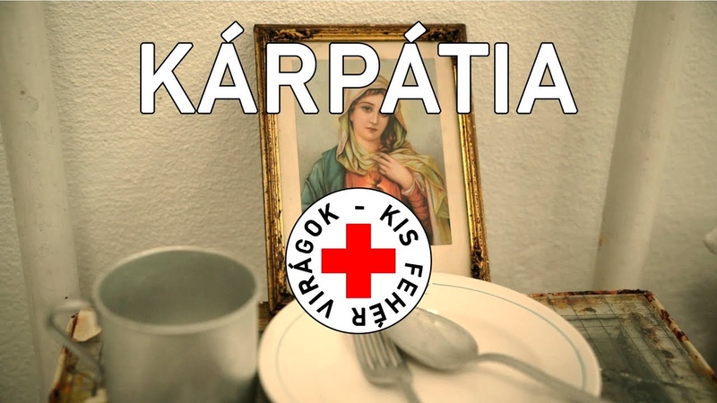 Kárpátia - Kis fehér virágok