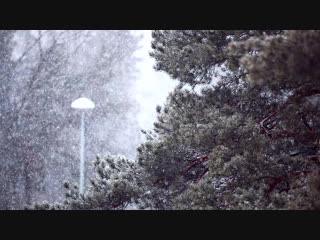 it's always snowing here