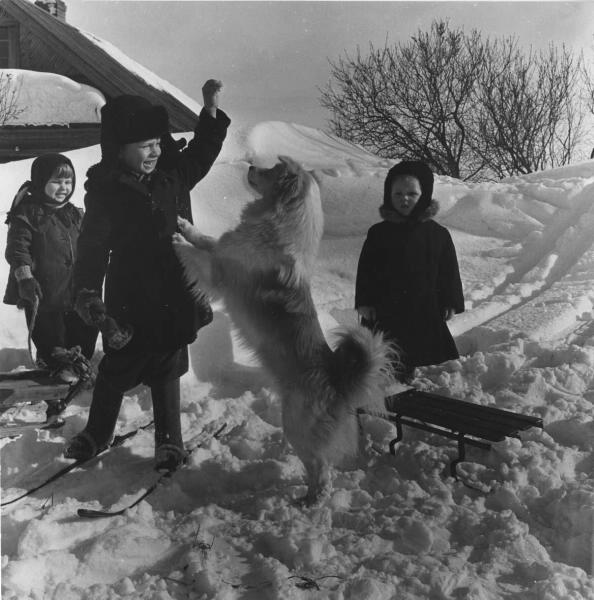 Зима в объективе Всеволода Тарасевича Всеволод Сергеевич Тарасевич (19191998) родился в Москве. Всеволод Тарасевич начал публиковать снимки в газетах «Смена» и «Ленинградская правда», ещё учась