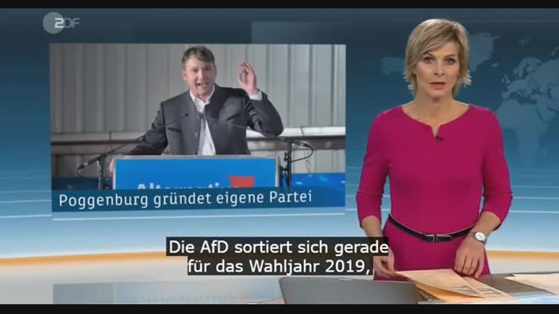 Tägliche Nachrichten (12.01.2019)