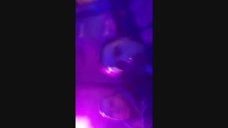 Витя Волк - Live
