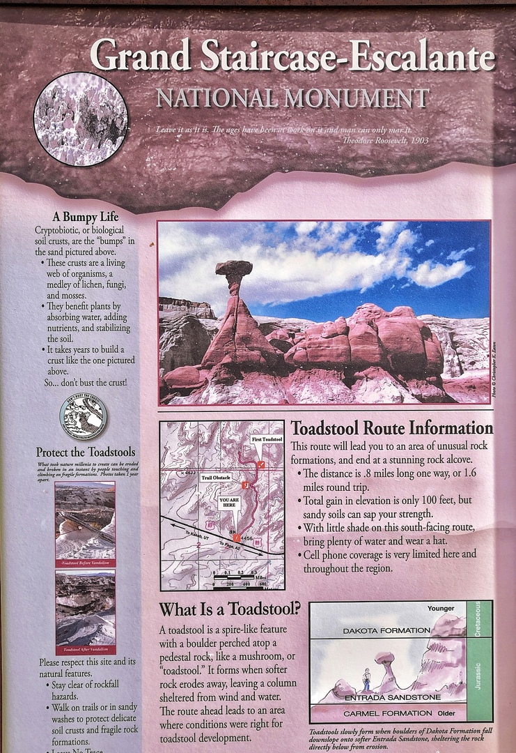 Ударим автопробегом по дикому западу! USA 2019 7-25 марта.