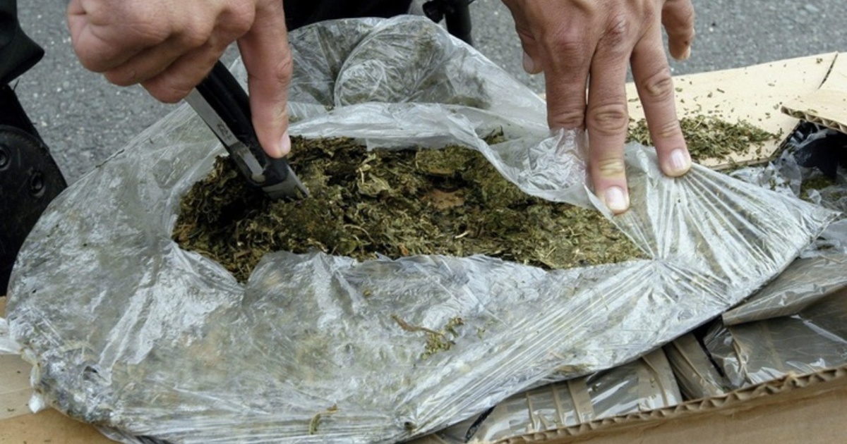 Под Таганрогом полицейские задержали бывшего мошенника с 600 граммами марихуаны Под Таганрогом полицейские задержали бывшего мошенника с 600 граммами марихуаны