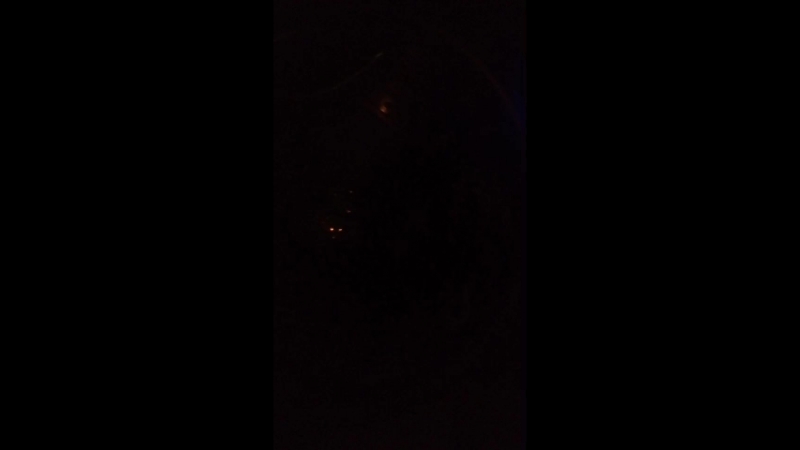 Мария Кравец - Live