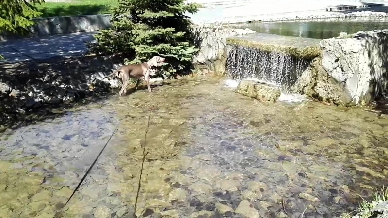 Ссыкуха