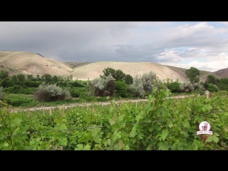 Code de Vino. Армения. Древние традиции виноделия