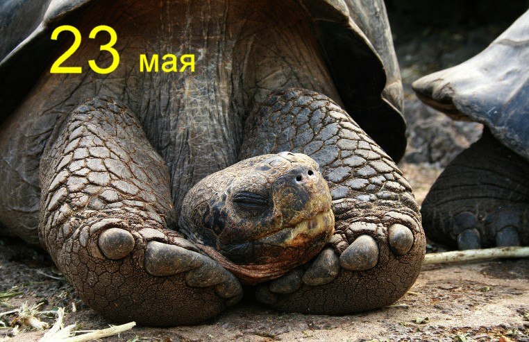 https://pp.userapi.com/c847121/v847121649/4bdb7/8sr7qvPzxgM.jpg