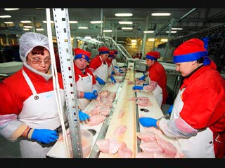 РАБОТА В ПОЛЬШЕ НА МЯСОКОМБИНАТЕ
