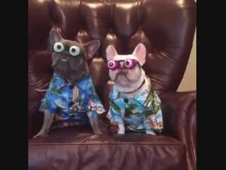 Cool as f__k